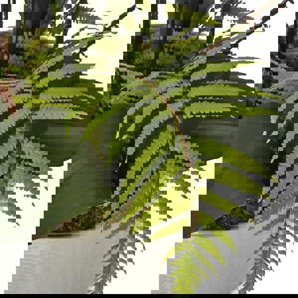 Hill Interiors Ceramic Orchid Flower Pot - White - 