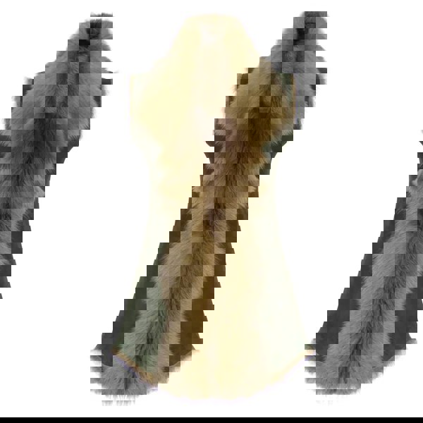 Long-Gilet_jacket_Olive_2XL - 18, Long-Gilet_jacket_Olive_3XL - 20, Long-Gilet_jacket_Olive_L - 14, Long-Gilet_jacket_Olive_M - 12, Long-Gilet_jacket_Olive_S - 10, Long-Gilet_jacket_Olive_XL - 16, Long-Gilet_jacket_Olive_XS - 8