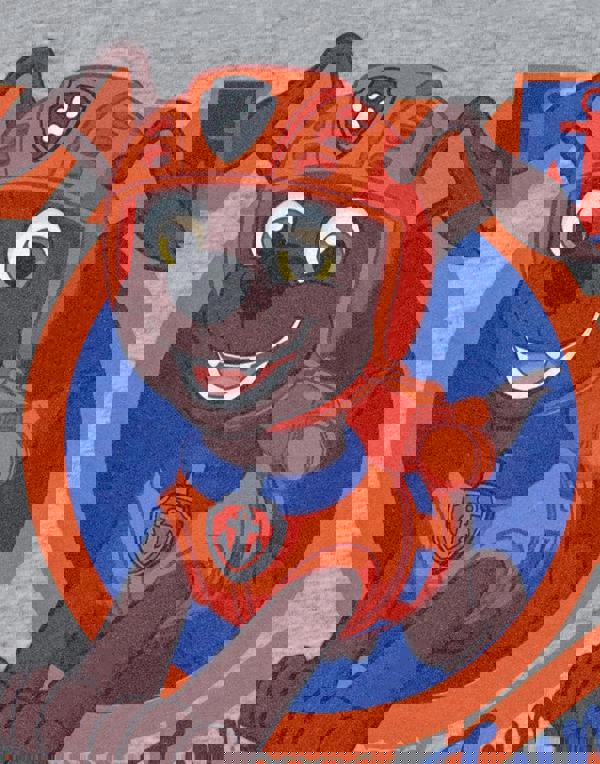 Paw Patrol Boys Grey Zuma Short Sleeved T-Shirt