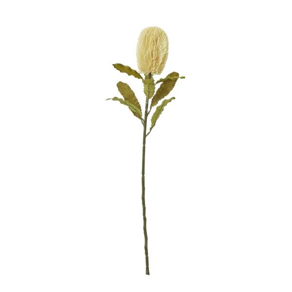 Wyld Haus Set of 3 Artificial Flowers Large Cream Banksia Serrata Stems