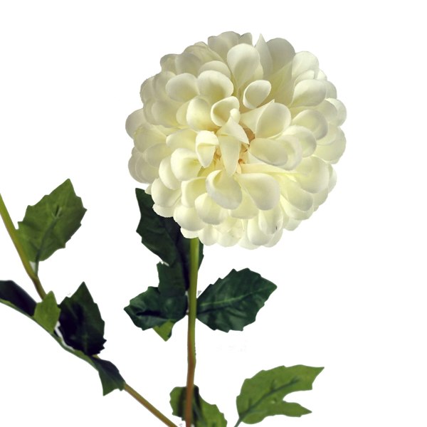 Leaf Pack of 6 x 75cm Artificial Dahlia PomPom Flower Stem Cream