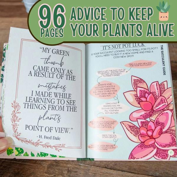 Houseplant Survival Guide - alternative angle