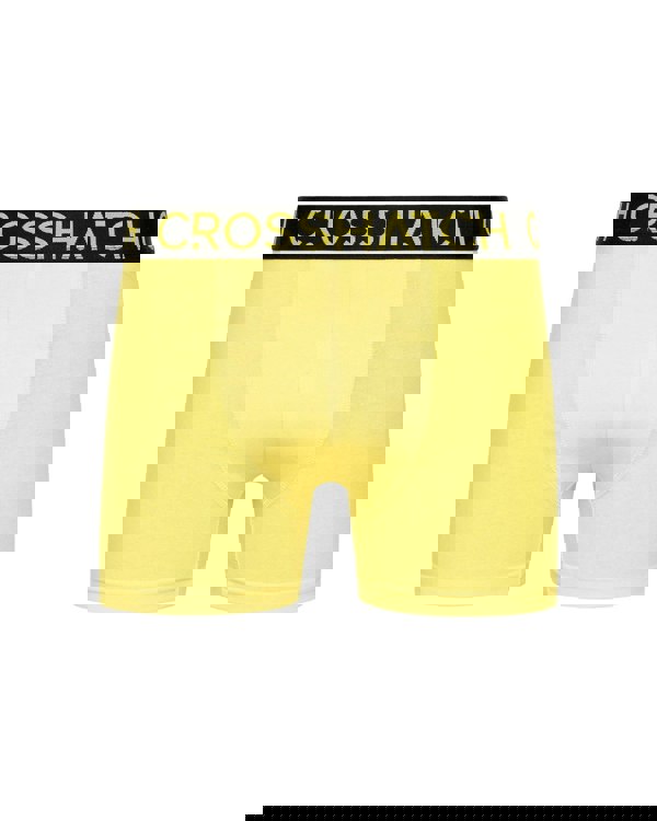 Crosshatch Highlighter Boxers 12pk Assorted