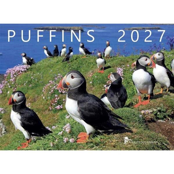 Michael MacGregor, Puffins Calendar 2027, Wall Calendars, Month To View, Animals, Gift