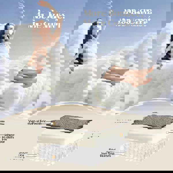 Multi-functional Power Lift Chair