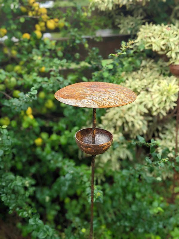 bird feeder for outdoors