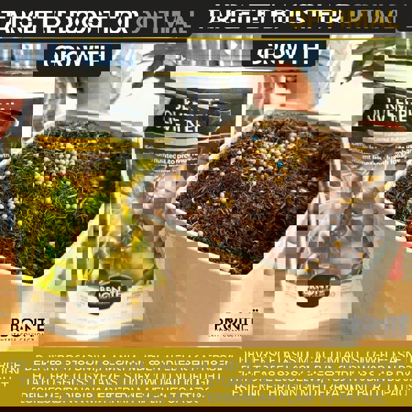 Bronte Heritage Olive Tree Fertiliser 120g – Slow-release granules for olive trees in pots & gardens. Promotes lush foliage & robust growth