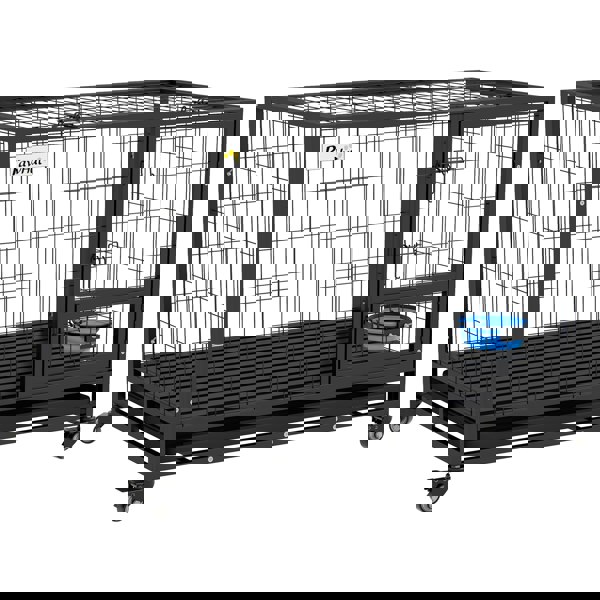 D02-191V01BK