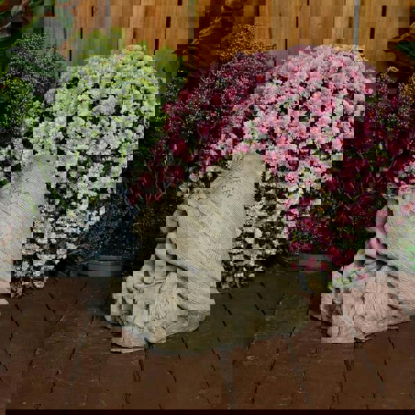 Stone Cast Flower Power Gnome Fairy Statue