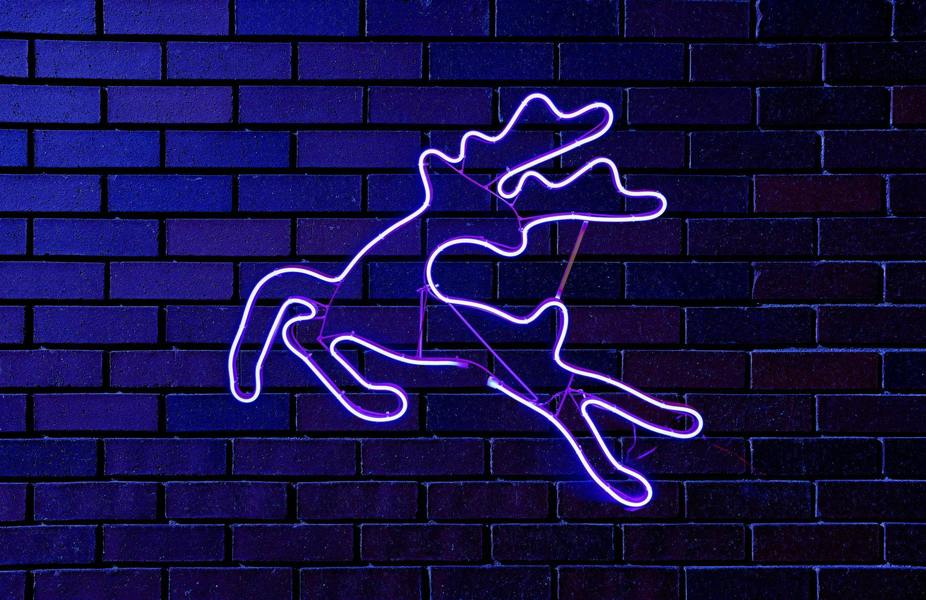 Jumping Reindeer Blue LED Rope Light Silhouette for Indoor and Outdoor Christmas Displays image 7