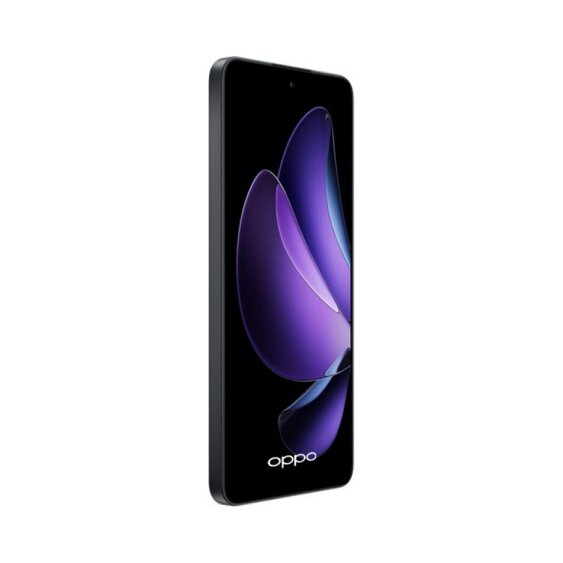 Oppo Reno 13 FS 5G 512GB Dual Sim Graphite Grey Smartphone