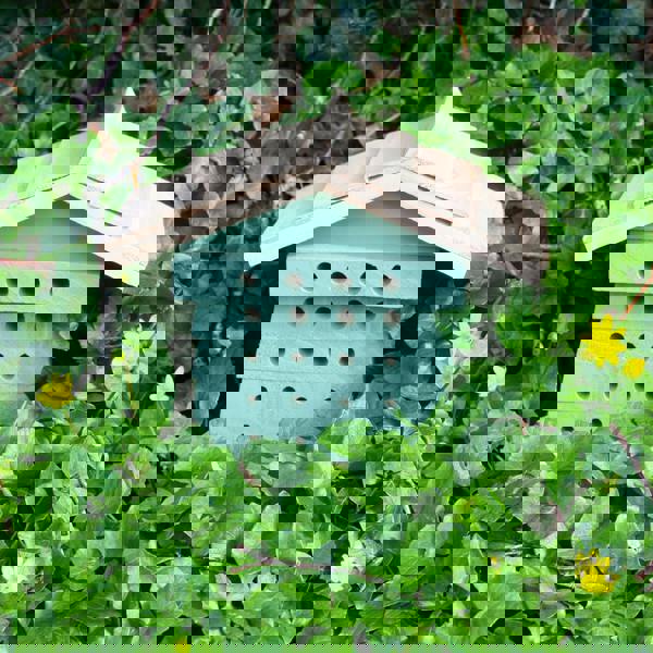 Wooden Bee House Insect Habitat with Multi-Hole Nesting Blocks