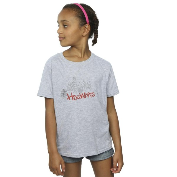 Harry Potter Girls Hogwarts Castle Spray Cotton T-Shirt - Sports Grey