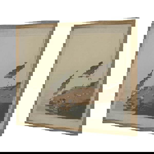 Hill Interiors Flora & Fauna Collection Picture Beaded Linen Framed Wall Art - Brown/White/Blue - 