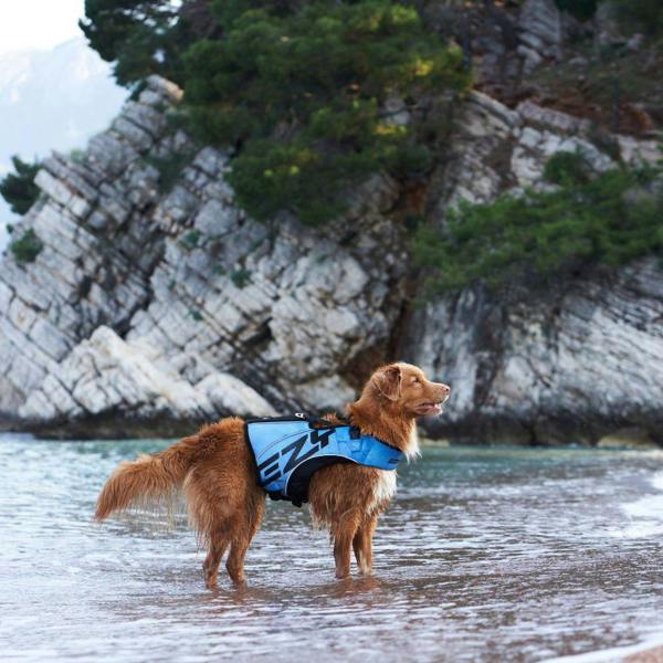 EzyDog DFD X2 Boost Dog Life Jacket in Blue