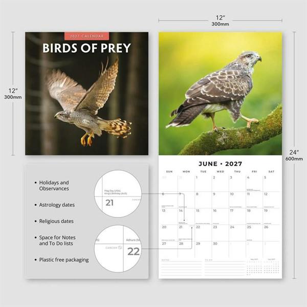 Birds of Prey Calendar 2027, Wall Calendars, Month To View, Animals, Gift