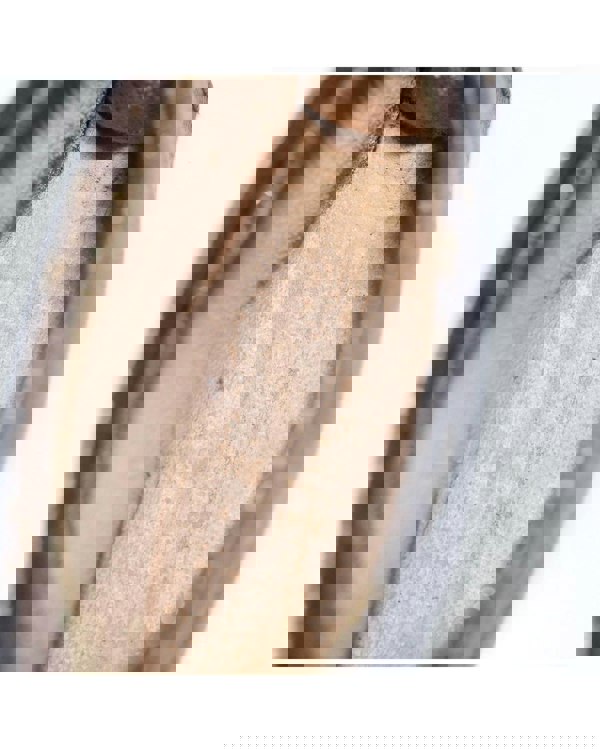 168215085.jpg