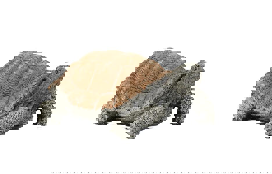 Medium Stone Cast Tortoise Garden Ornament