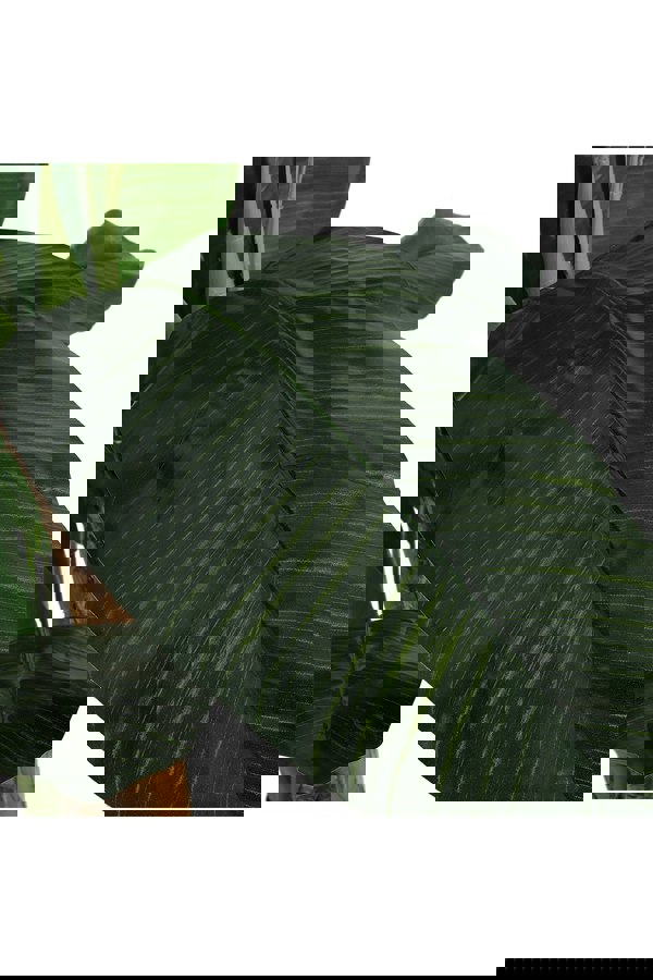 Living and Home Artificial Potted Banana Tree Home Decoration