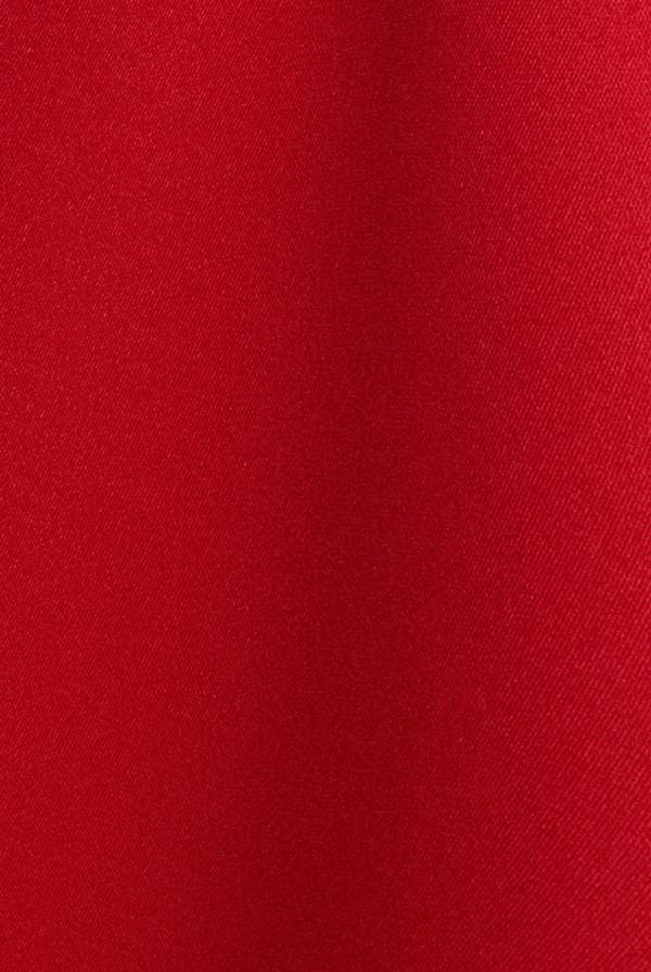 Bardot Plunge Neck Bow Sleeve Skater Mini Dress - Red DR5125
