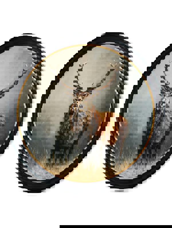 Exceptional Art Highland Stag - Oxford round frame