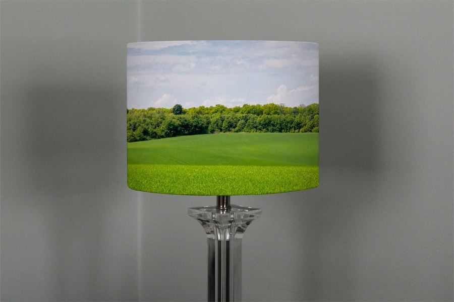 Benjamin Tate Design Summer landscape with hilly green field and forest in the distance (Ceiling & Lamp Shade)
