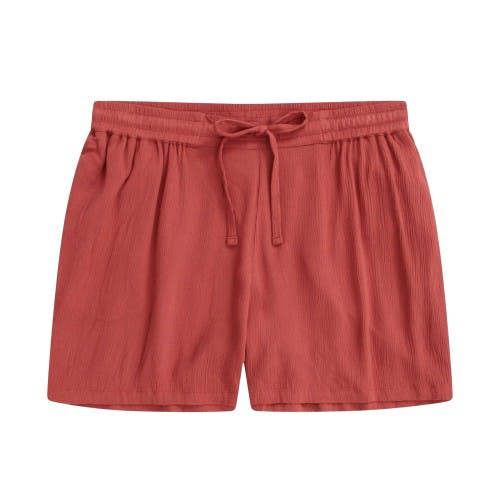 Animal Womens/Ladies Ria Shorts - Navy - 