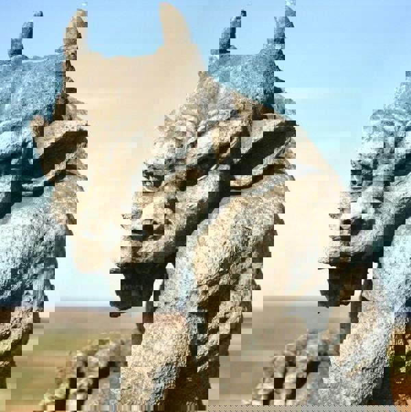 Stone Cast Guardian Gargoyle Statue