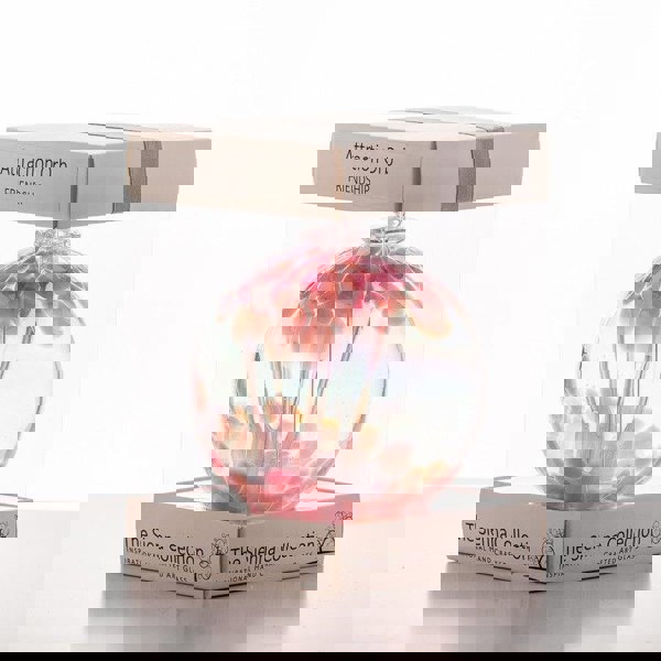 Attraction Orb - Friendship