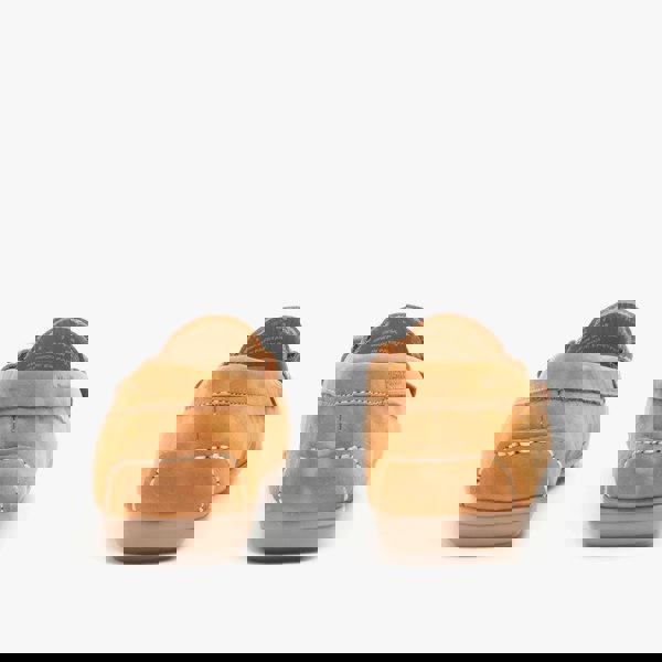 1582553007-73241200.jpg