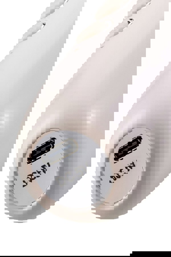 Living and Home Portable Karaoke Machine with Wireless Microphones and RGB Lights