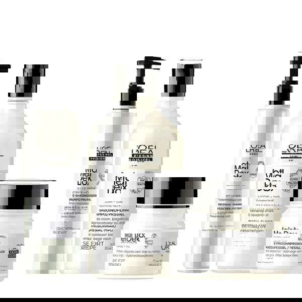 L'Oréal Professionnel Metal Detox Anti-Porosity Filler Treatment Shampoo Mask