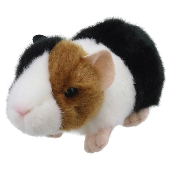 Wilberry Guinea Pig - Wilberry Minis