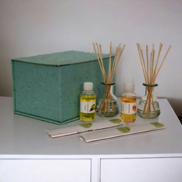 Artisan Furniture Adira Glass Bottle Diffuser Set (Mandarin & Apple Cinnamon)