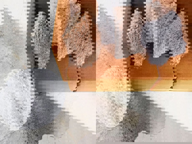 Curly Sheepskin Cushion | Doublesided | 56x56 cm | 40x40 cm Light Grey