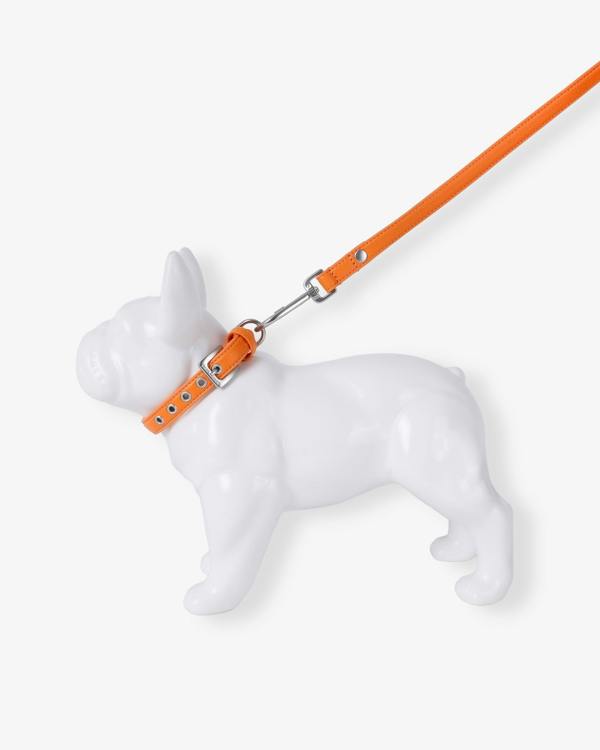 Barc London Mandarin Orange Dog Lead