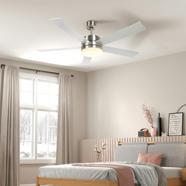 Ceiling Fan With Light