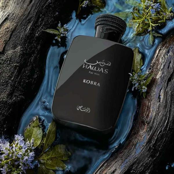 Rasasi Hawas Kobra Eau de Parfum 100ml bottle on wet rocks with plants
