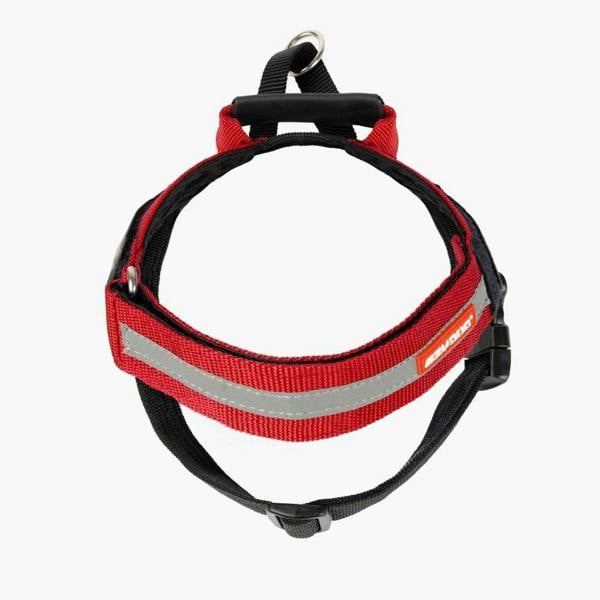 EzyDog Express Dog Harness in Red