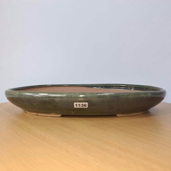31cm Glazed Bonsai Pot | Oval | 31cm x 22cm x 4.5cm | Green - Yorkshire Bonsai