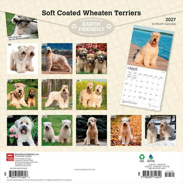 Soft Coated Wheaten Terriers Calendars 2027, Wall Calendars, Month To View, Dogs, Gift