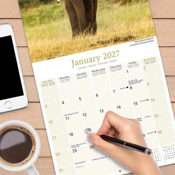 African Wildlife Calendar 2027, Wall Calendars, Month To View, Animals, Gift