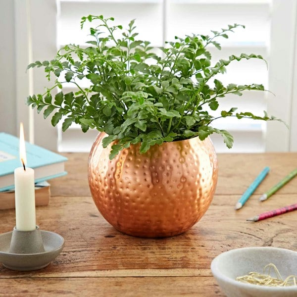 Paper High Hammered Iron Round Planter