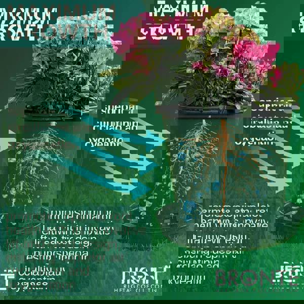 Healthy Plants and Veg