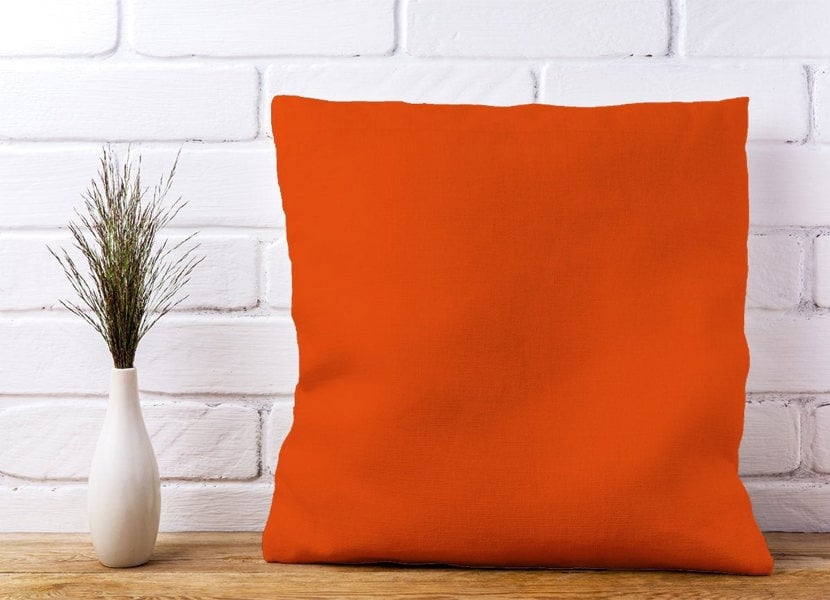 Warren Reed Burnt Orange Cushions