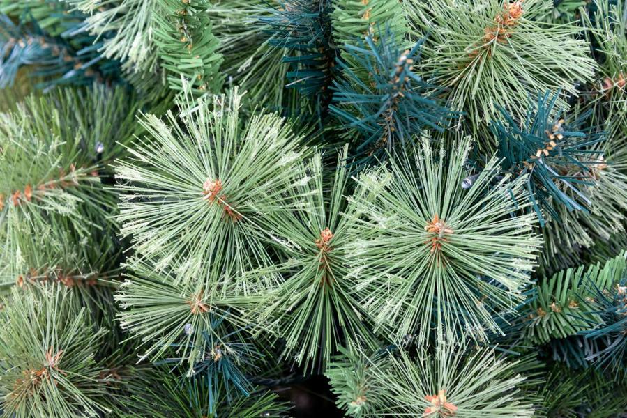 4ft to 8ft Pre-Lit Kentucky Pine Artificial Christmas Trees with Warm White LEDs image 3