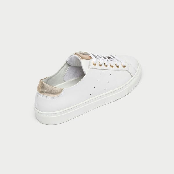 Calla Star Trainers - Smooth White Leather & Champagne