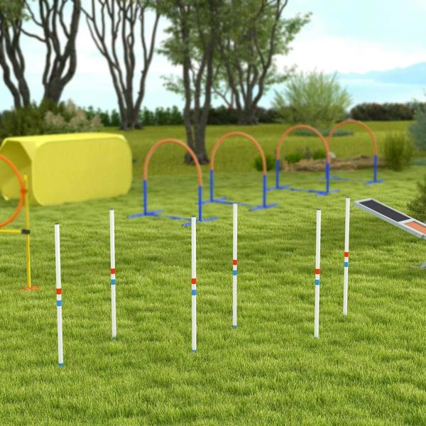 Outdoor dog agility course with white poles and blue bases