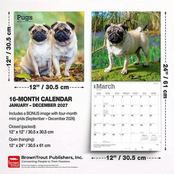 Pugs Calendar 2027, Wall Calendars, Month To View, Dogs, Gift