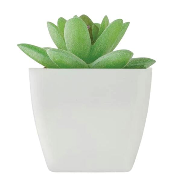 MidOcean Artigrap Graptopetalum Paraguayense Artificial Plant - White - 